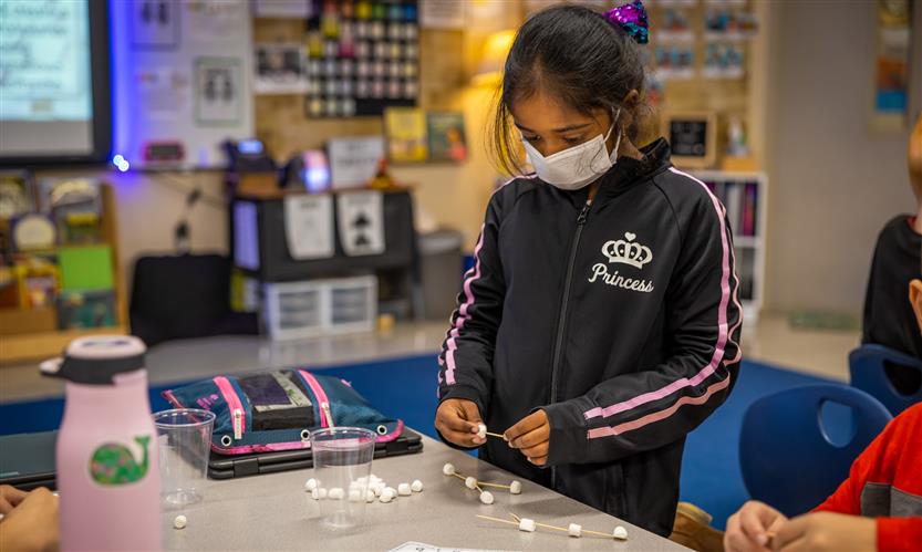 Students make constellations out of marshmallows and toothpicks